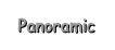 Panoramic