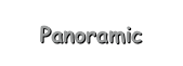 Panoramic