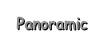 Panoramic
